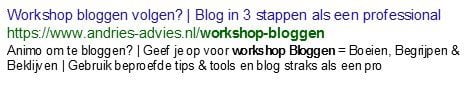 Metatags workshop bloggen Eindhoven bij Kwaaijongens