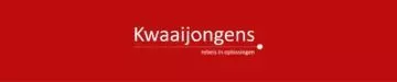 Wat mag je verwachten van een webbouwer als Kwaaijongens?