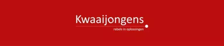 Wat mag je verwachten van een webbouwer als Kwaaijongens?