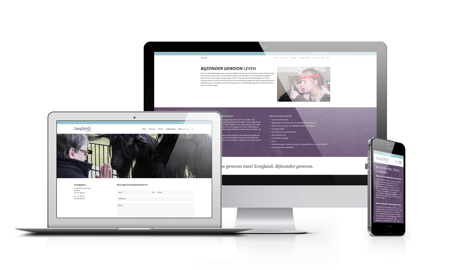 Professionele website Zeeland