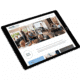 vlechtwerk cases website